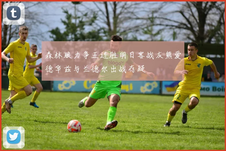 森林狼力争五连胜明日客战灰熊爱德华兹与兰德尔出战存疑